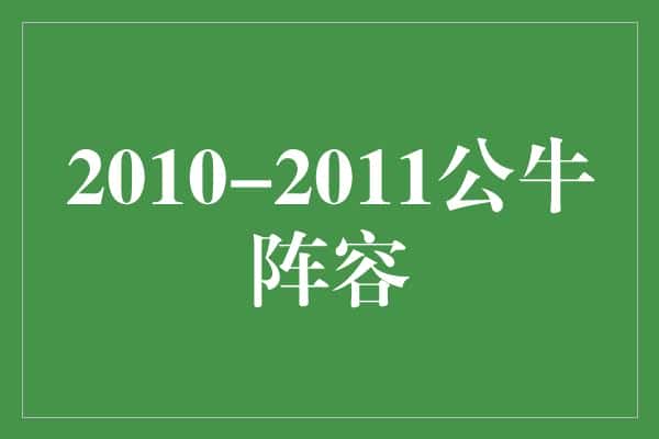2010-2011公牛阵容